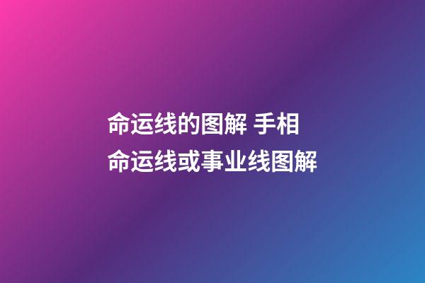 命运线的图解 手相 命运线或事业线图解-第1张-观点-玄机派